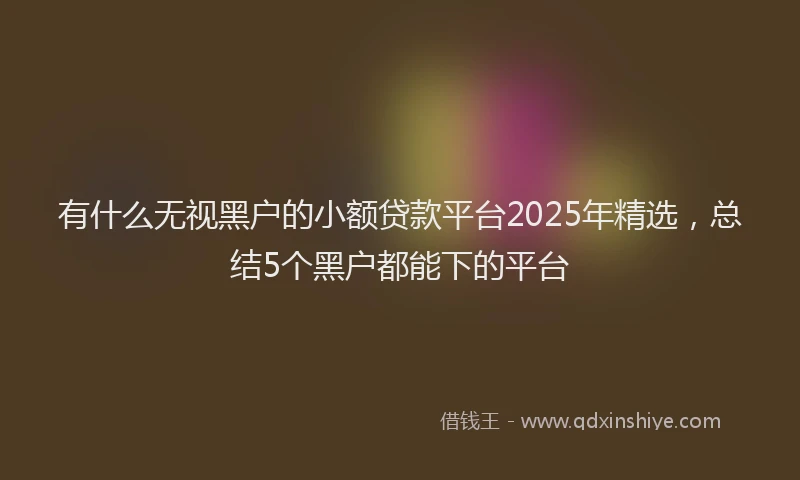 有什么无视黑户的小额贷款平台2025年精选，总结5个黑户都能下的平台