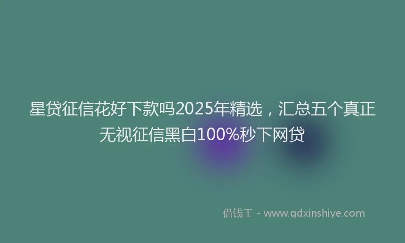 星贷征信花好下款吗2025年精选，汇总五个真正无视征信黑白100%秒下网贷