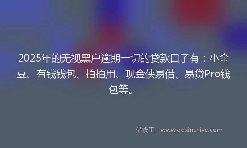 2025年的无视黑户逾期一切的贷款口子有：小金豆、有钱钱包、拍拍用、现金侠易借、易贷Pro钱包等。