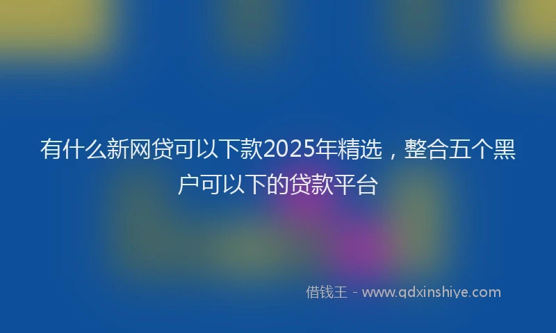 有什么新网贷可以下款2025年精选，整合五个黑户可以下的贷款平台