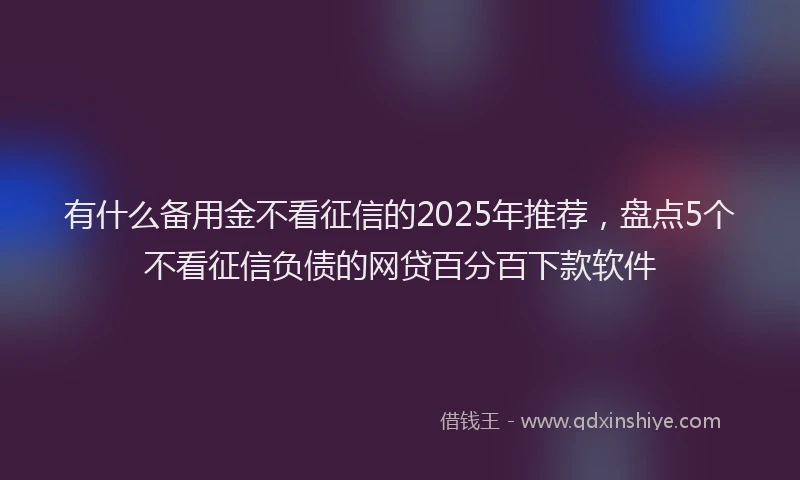 有什么备用金不看征信的2025年推荐，盘点5个不看征信负债的网贷百分百下款软件