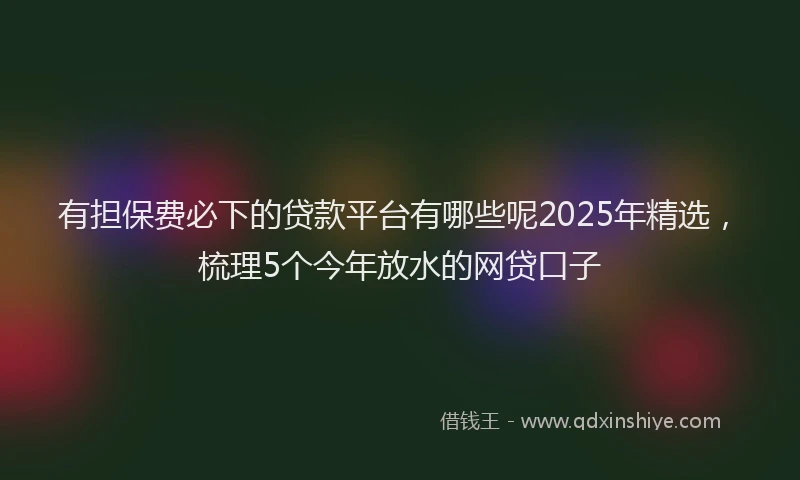 有担保费必下的贷款平台有哪些呢2025年精选，梳理5个今年放水的网贷口子