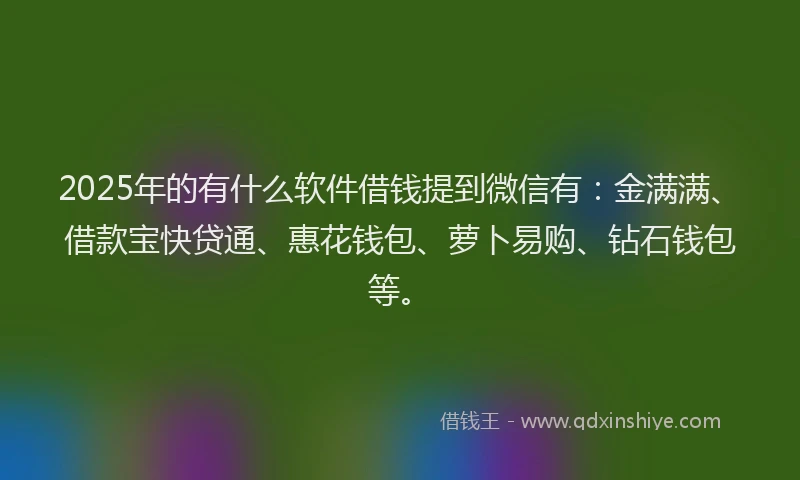 2025年的有什么软件借钱提到微信有：金满满、借款宝快贷通、惠花钱包、萝卜易购、钻石钱包等。