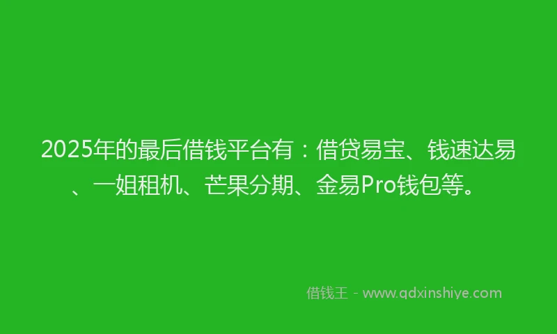 2025年的最后借钱平台有：借贷易宝、钱速达易、一姐租机、芒果分期、金易Pro钱包等。