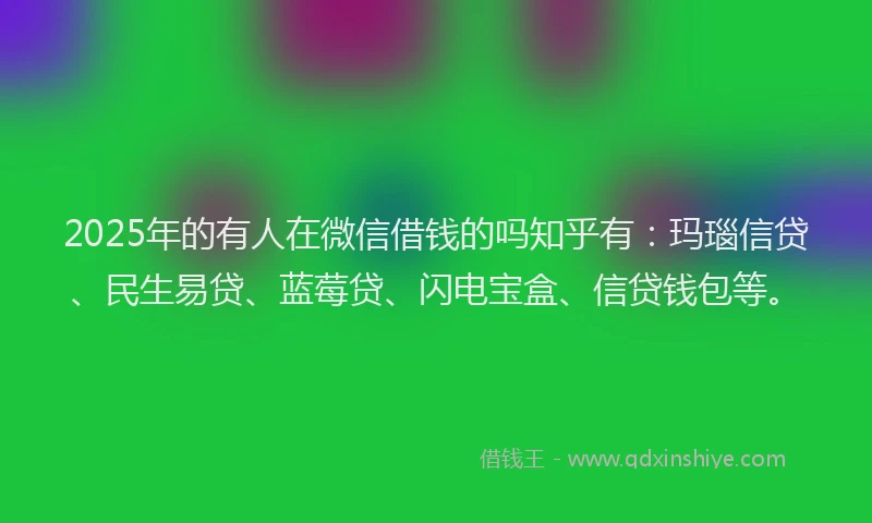 2025年的有人在微信借钱的吗知乎有：玛瑙信贷、民生易贷、蓝莓贷、闪电宝盒、信贷钱包等。