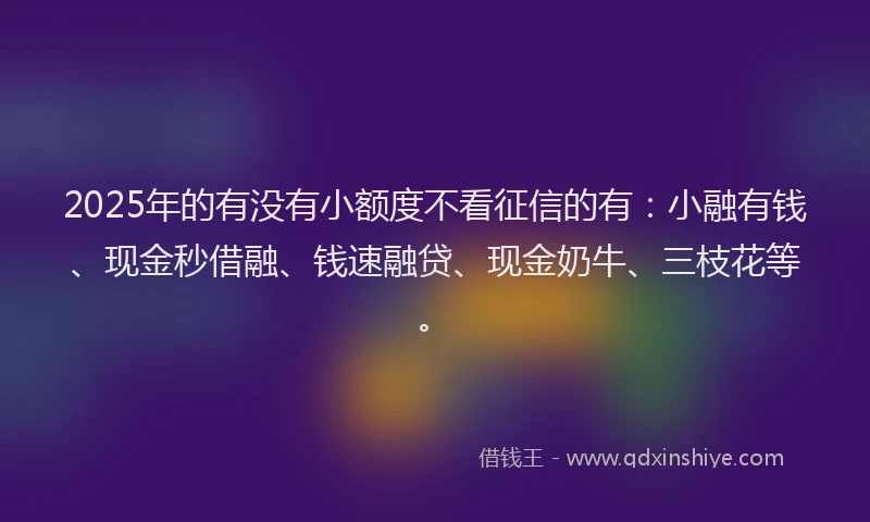 2025年的有没有小额度不看征信的有：小融有钱、现金秒借融、钱速融贷、现金奶牛、三枝花等。