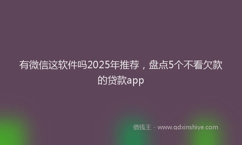 有微信这软件吗2025年推荐，盘点5个不看欠款的贷款app