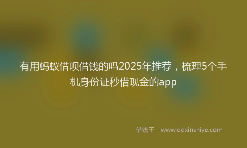 有用蚂蚁借呗借钱的吗2025年推荐，梳理5个手机身份证秒借现金的app