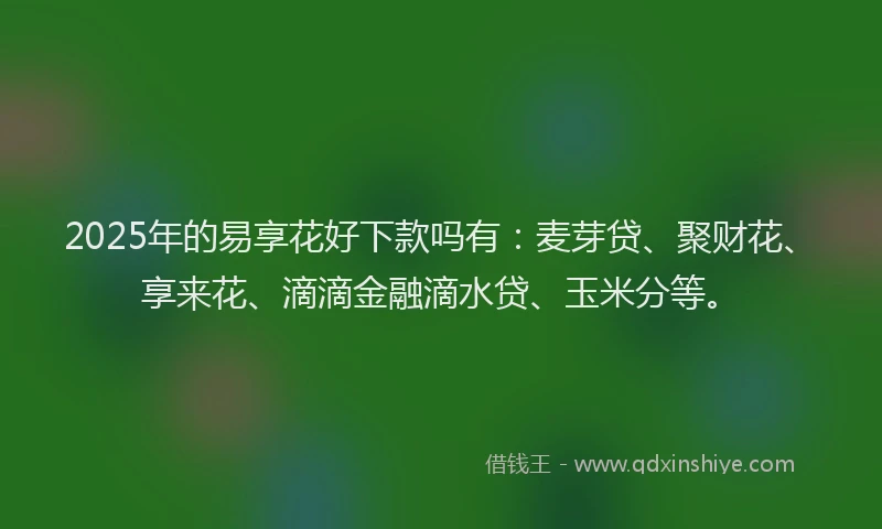 2025年的易享花好下款吗有：麦芽贷、聚财花、享来花、滴滴金融滴水贷、玉米分等。