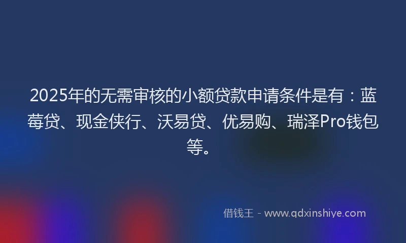 2025年的无需审核的小额贷款申请条件是有：蓝莓贷、现金侠行、沃易贷、优易购、瑞泽Pro钱包等。