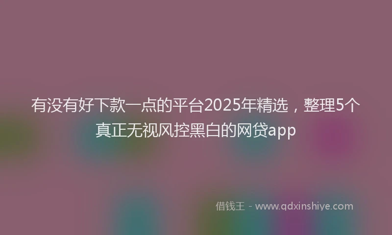 有没有好下款一点的平台2025年精选，整理5个真正无视风控黑白的网贷app