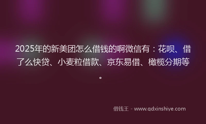 2025年的新美团怎么借钱的啊微信有：花呗、借了么快贷、小麦粒借款、京东易借、橄榄分期等。