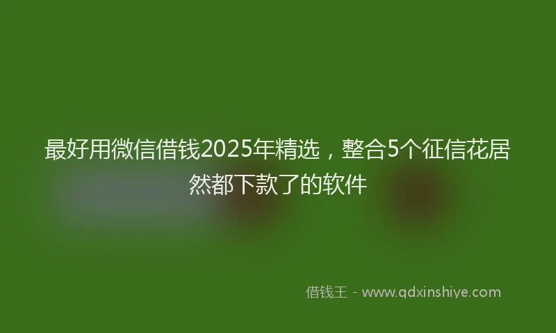最好用微信借钱2025年精选，整合5个征信花居然都下款了的软件