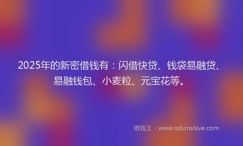 2025年的新密借钱有：闪借快贷、钱袋易融贷、易融钱包、小麦粒、元宝花等。