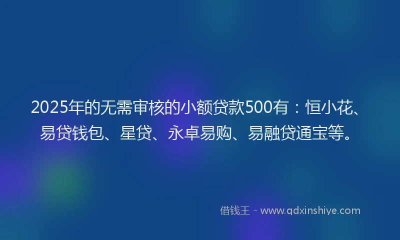 2025年的无需审核的小额贷款500有：恒小花、易贷钱包、星贷、永卓易购、易融贷通宝等。