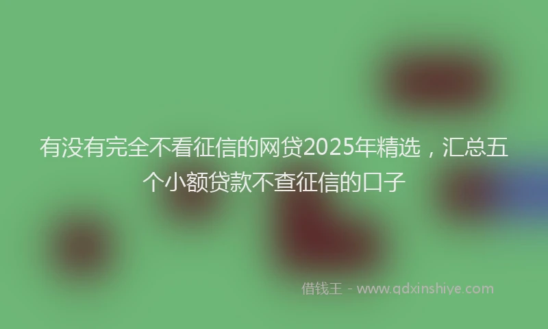 有没有完全不看征信的网贷2025年精选，汇总五个小额贷款不查征信的口子
