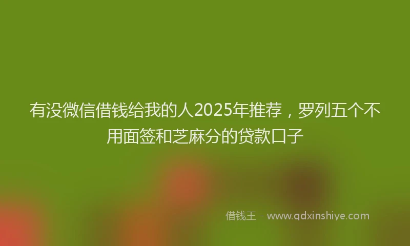 有没微信借钱给我的人2025年推荐，罗列五个不用面签和芝麻分的贷款口子