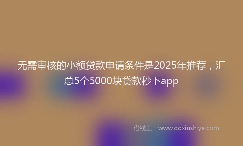 无需审核的小额贷款申请条件是2025年推荐，汇总5个5000块贷款秒下app