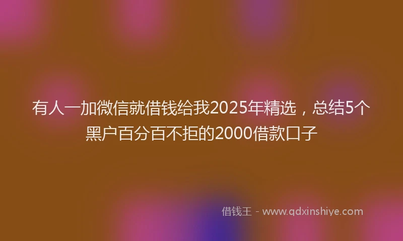 有人一加微信就借钱给我2025年精选，总结5个黑户百分百不拒的2000借款口子