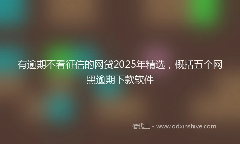 有逾期不看征信的网贷2025年精选，概括五个网黑逾期下款软件