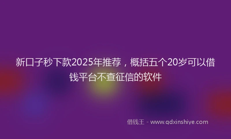 新口子秒下款2025年推荐，概括五个20岁可以借钱平台不查征信的软件