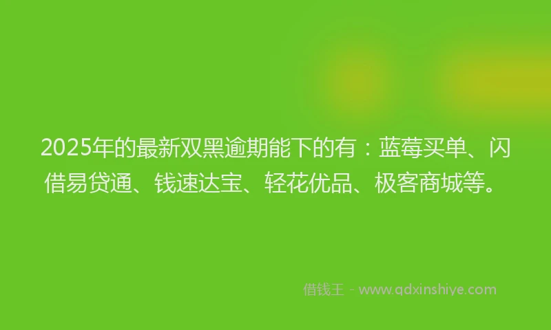 2025年的最新双黑逾期能下的有：蓝莓买单、闪借易贷通、钱速达宝、轻花优品、极客商城等。