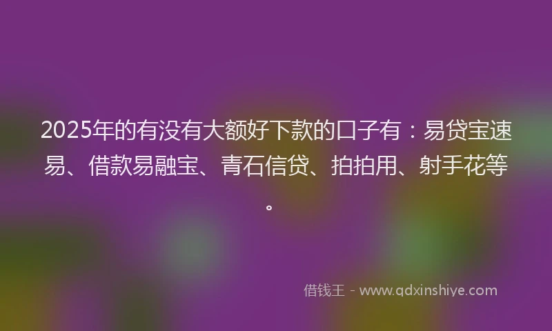 2025年的有没有大额好下款的口子有：易贷宝速易、借款易融宝、青石信贷、拍拍用、射手花等。