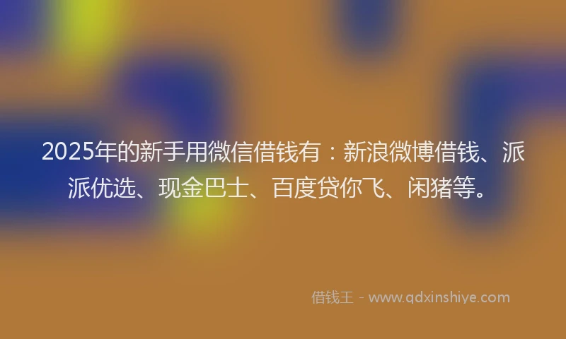2025年的新手用微信借钱有：新浪微博借钱、派派优选、现金巴士、百度贷你飞、闲猪等。