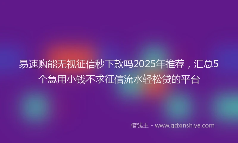 易速购能无视征信秒下款吗2025年推荐，汇总5个急用小钱不求征信流水轻松贷的平台