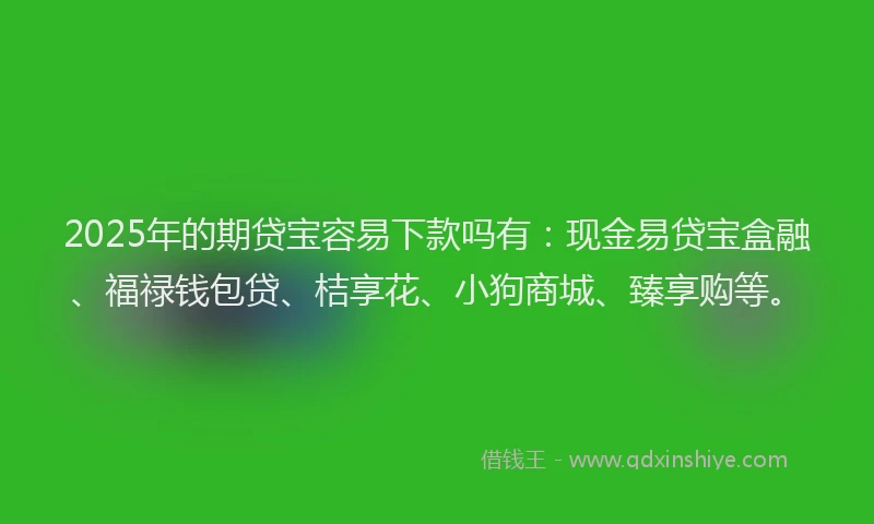 2025年的期贷宝容易下款吗有：现金易贷宝盒融、福禄钱包贷、桔享花、小狗商城、臻享购等。