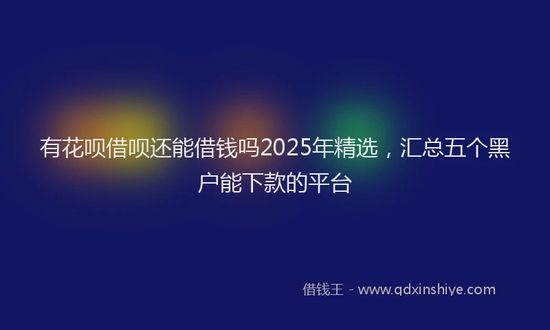 有花呗借呗还能借钱吗2025年精选，汇总五个黑户能下款的平台
