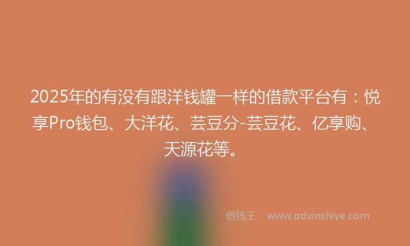 2025年的有没有跟洋钱罐一样的借款平台有：悦享Pro钱包、大洋花、芸豆分-芸豆花、亿享购、天源花等。