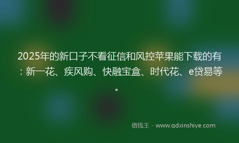 2025年的新口子不看征信和风控苹果能下载的有：新一花、疾风购、快融宝盒、时代花、e贷易等。