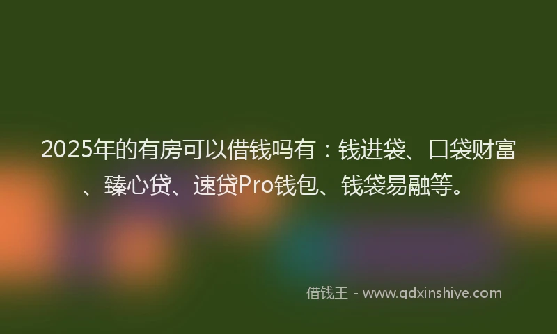 2025年的有房可以借钱吗有：钱进袋、口袋财富、臻心贷、速贷Pro钱包、钱袋易融等。