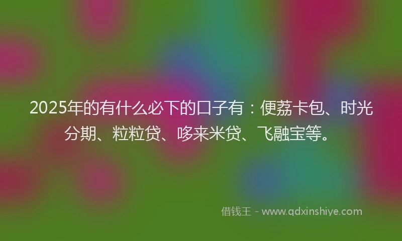 2025年的有什么必下的口子有：便荔卡包、时光分期、粒粒贷、哆来米贷、飞融宝等。