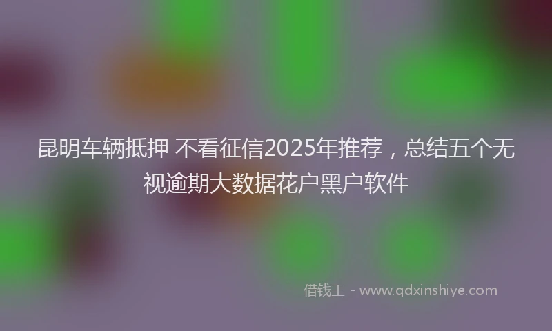 昆明车辆抵押 不看征信2025年推荐，总结五个无视逾期大数据花户黑户软件