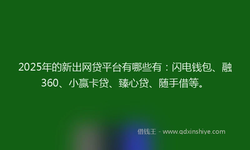 2025年的新出网贷平台有哪些有：闪电钱包、融360、小赢卡贷、臻心贷、随手借等。