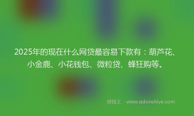 2025年的现在什么网贷最容易下款有：葫芦花、小金鹿、小花钱包、微粒贷、蜂狂购等。
