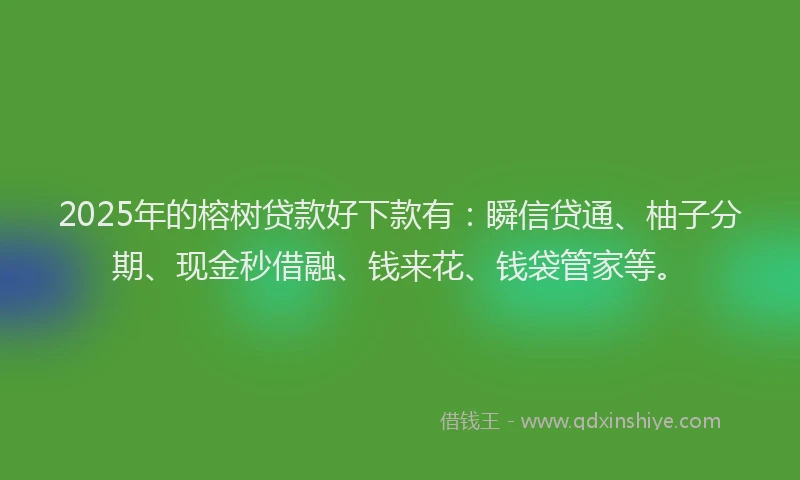 2025年的榕树贷款好下款有：瞬信贷通、柚子分期、现金秒借融、钱来花、钱袋管家等。