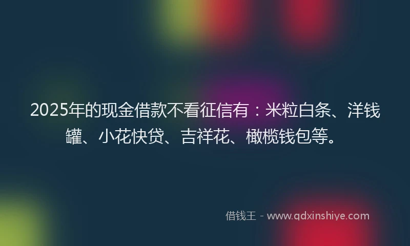 2025年的现金借款不看征信有：米粒白条、洋钱罐、小花快贷、吉祥花、橄榄钱包等。