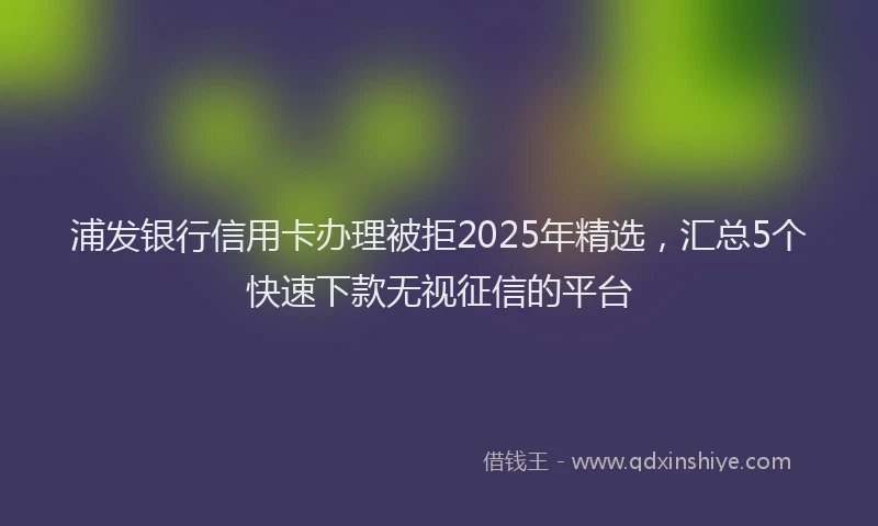 浦发银行信用卡办理被拒2025年精选，汇总5个快速下款无视征信的平台