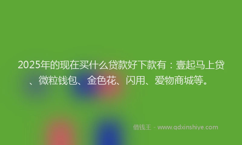 2025年的现在买什么贷款好下款有：壹起马上贷、微粒钱包、金色花、闪用、爱物商城等。