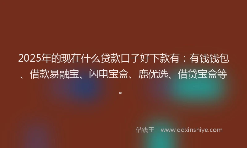 2025年的现在什么贷款口子好下款有：有钱钱包、借款易融宝、闪电宝盒、鹿优选、借贷宝盒等。