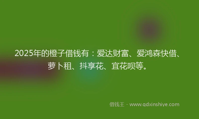 2025年的橙子借钱有：爱达财富、爱鸿森快借、萝卜租、抖享花、宜花呗等。