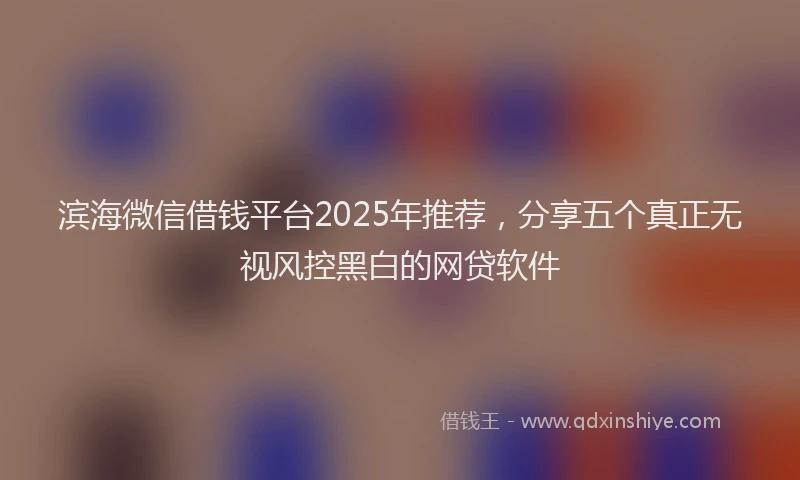 滨海微信借钱平台2025年推荐，分享五个真正无视风控黑白的网贷软件