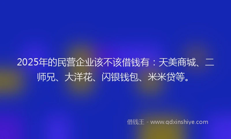 2025年的民营企业该不该借钱有：天美商城、二师兄、大洋花、闪银钱包、米米贷等。