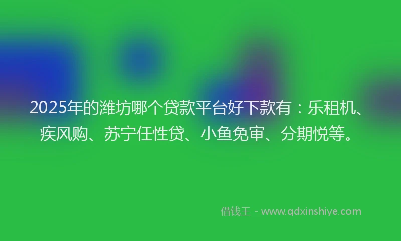 2025年的潍坊哪个贷款平台好下款有：乐租机、疾风购、苏宁任性贷、小鱼免审、分期悦等。