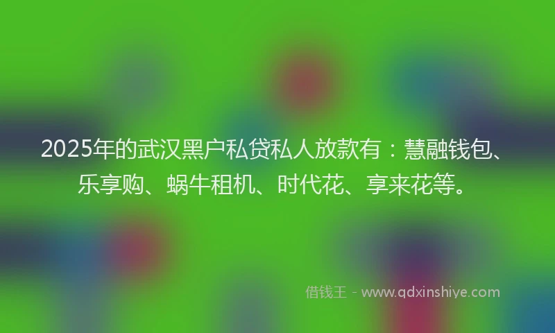 2025年的武汉黑户私贷私人放款有：慧融钱包、乐享购、蜗牛租机、时代花、享来花等。