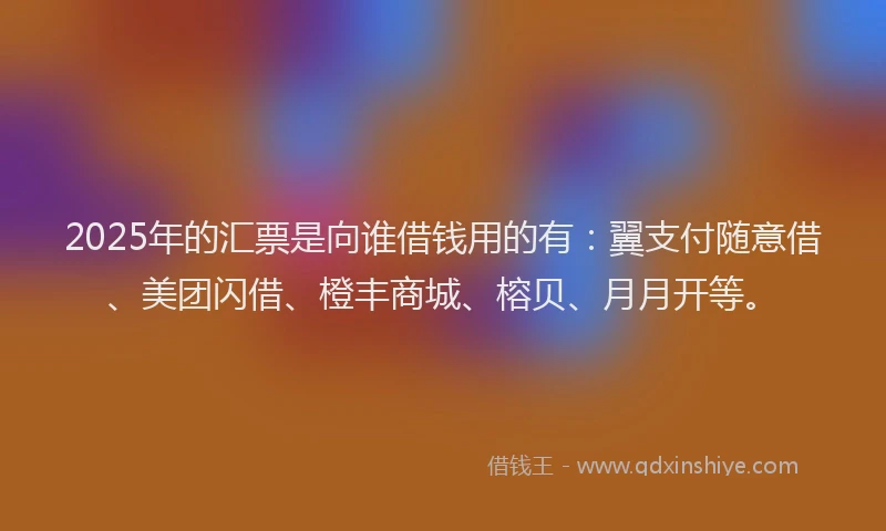2025年的汇票是向谁借钱用的有：翼支付随意借、美团闪借、橙丰商城、榕贝、月月开等。
