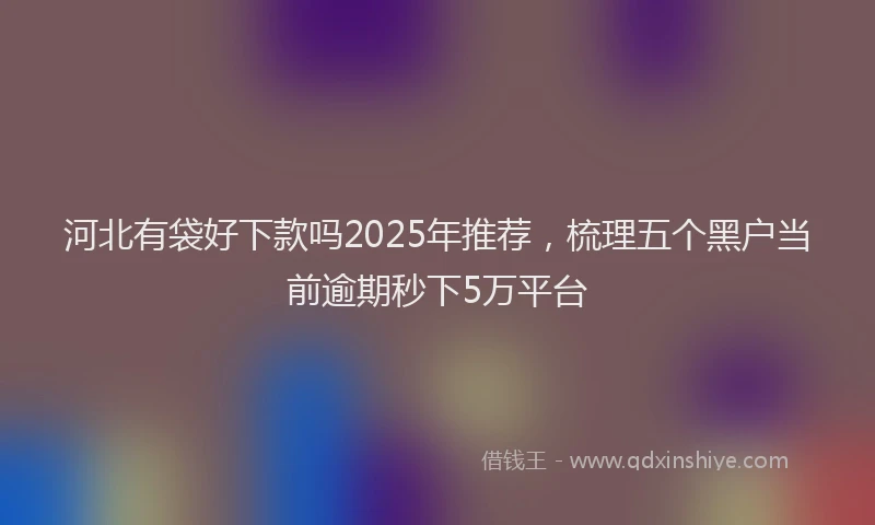 河北有袋好下款吗2025年推荐，梳理五个黑户当前逾期秒下5万平台